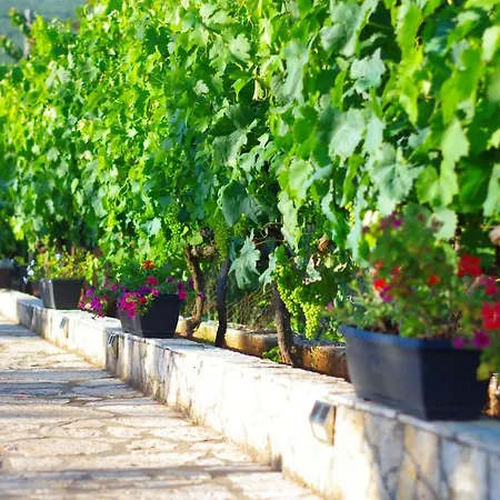 Villa Jakov Kraj (Split)