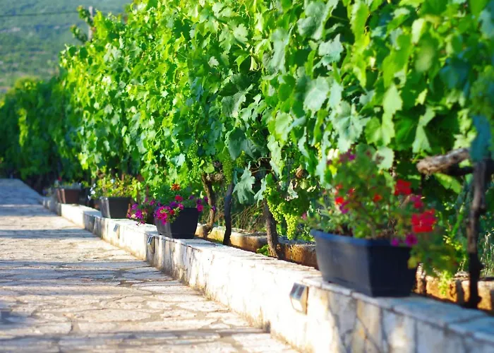 Villa Jakov Kraj (Split)